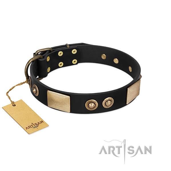 Easy adjustable genuine leather dog collar for stylish walking your four-legged friend