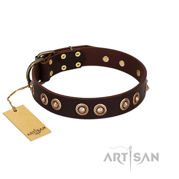 Strong adornments on full grain leather dog collar for your four-legged friend