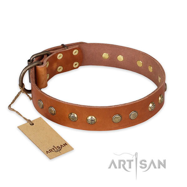 Fashionable leather dog collar with corrosion resistant fittings
