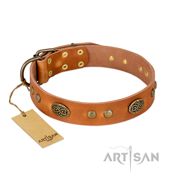 Corrosion resistant buckle on genuine leather dog collar for your four-legged friend