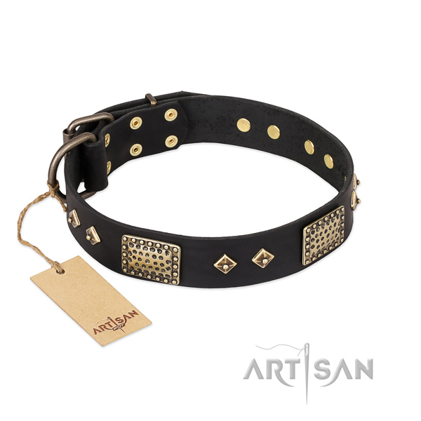 Stylish design full grain genuine leather dog collar for everyday walking