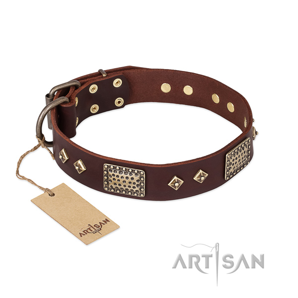 Trendy genuine leather dog collar for everyday use