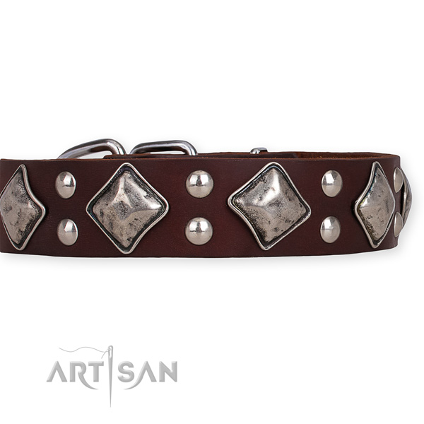 Natural leather dog collar with exquisite reliable decorations