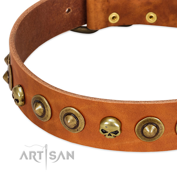 Exceptional decorations on full grain leather collar for your pet