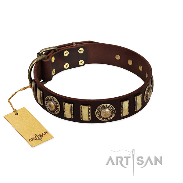 Soft to touch full grain leather dog collar with corrosion proof traditional buckle