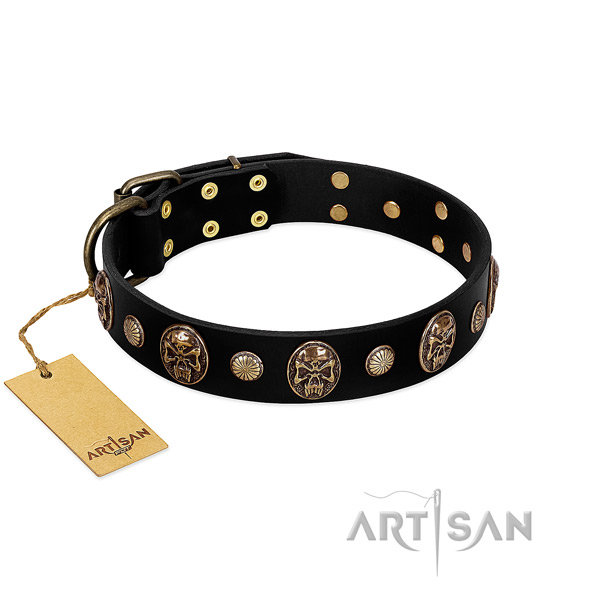 Full grain natural leather dog collar with durable embellishments