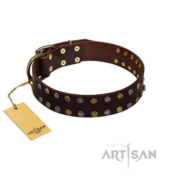 Daily use soft genuine leather dog collar with embellishments
