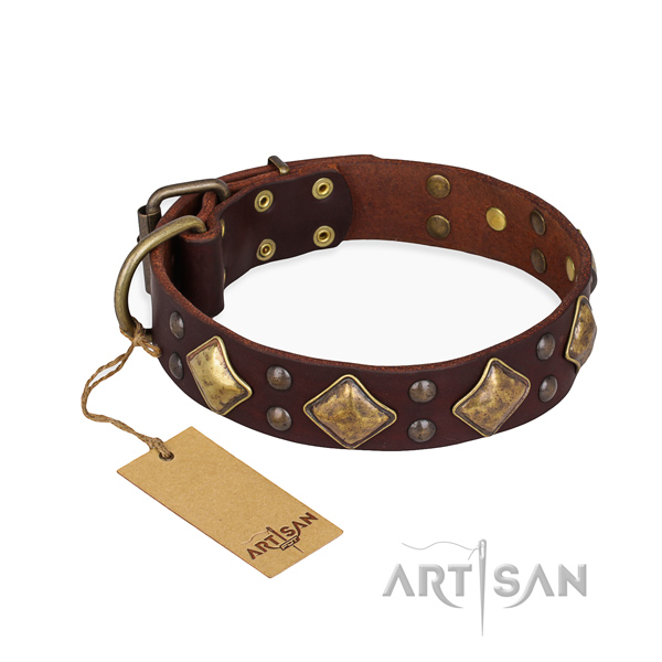 Comfy wearing extraordinary dog collar with corrosion resistant fittings