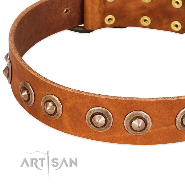 Rust resistant embellishments on leather dog collar for your pet