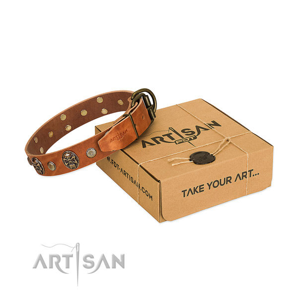 Strong traditional buckle on full grain leather dog collar for basic training