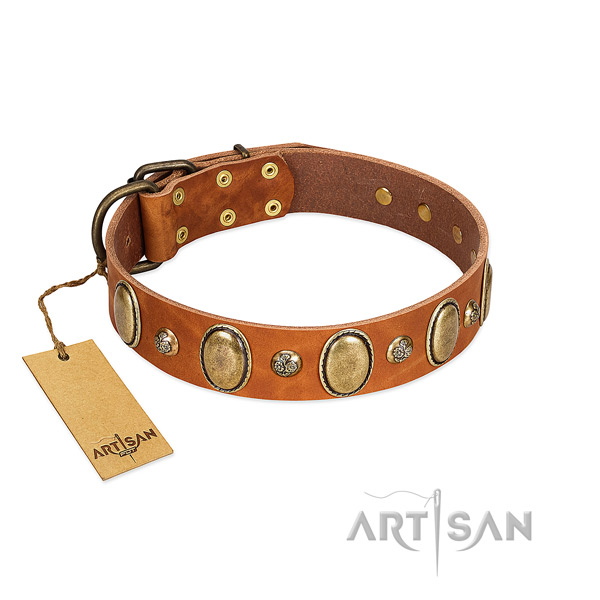 Full grain natural leather dog collar of reliable material with inimitable decorations