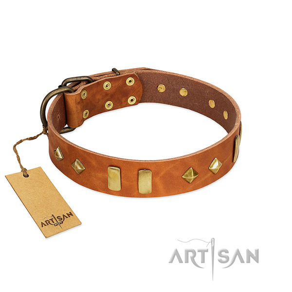 Daily walking quality full grain natural leather dog collar with embellishments