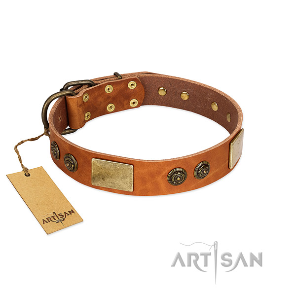Easy wearing full grain leather dog collar for easy wearing
