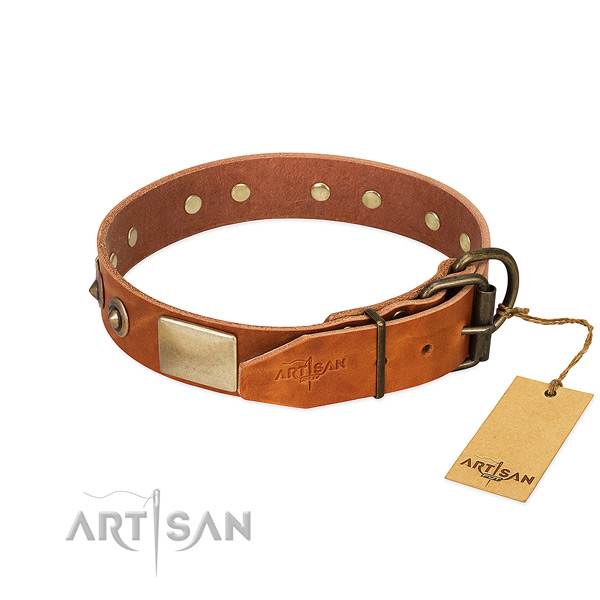 Strong traditional buckle on everyday use dog collar