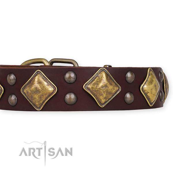 Genuine leather dog collar with extraordinary rust-proof decorations