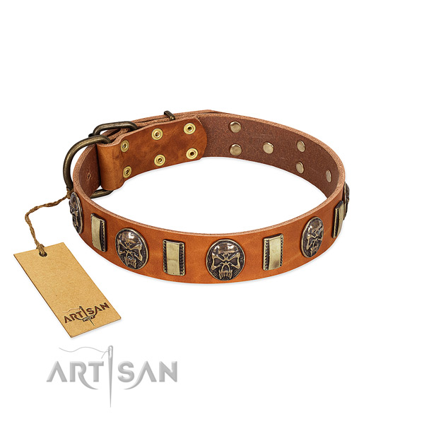 Perfect fit full grain genuine leather dog collar for handy use