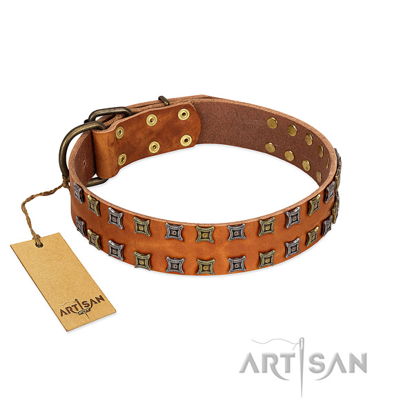 Flexible leather dog collar with embellishments for your dog