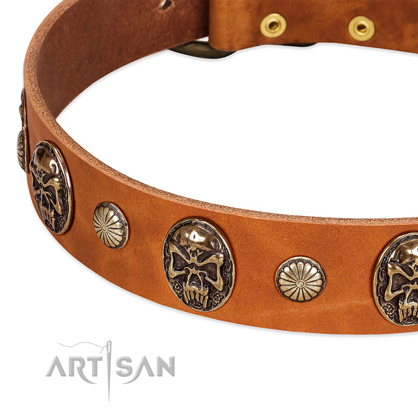 Rust-proof buckle on full grain natural leather dog collar for your four-legged friend