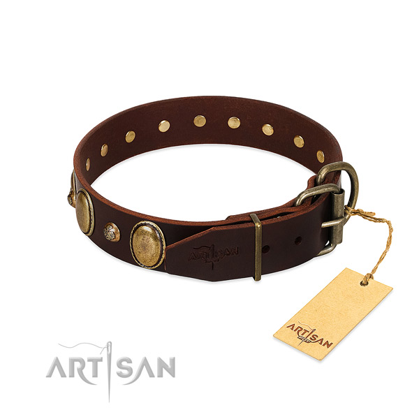 Corrosion resistant hardware on full grain leather collar for fancy walking your pet