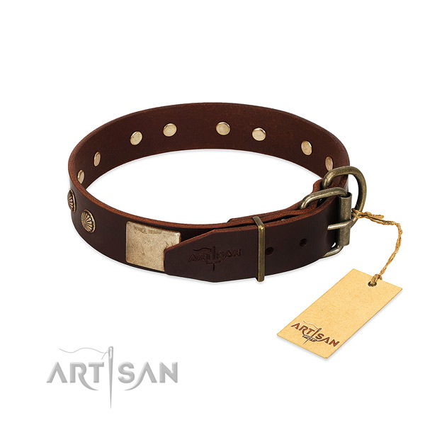 Rust resistant buckle on stylish walking dog collar