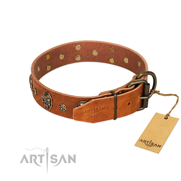 Rust-proof adornments on full grain leather dog collar for your canine