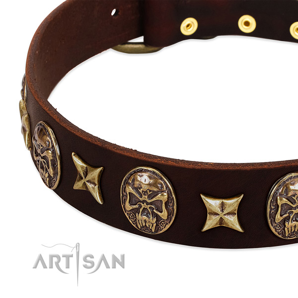 Corrosion proof embellishments on full grain genuine leather dog collar for your dog