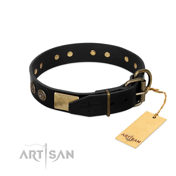 Reliable studs on genuine leather dog collar for your doggie