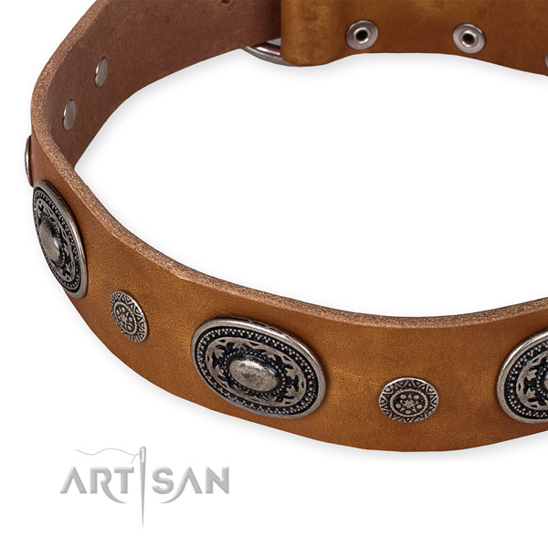 Reliable genuine leather dog collar made for your lovely canine