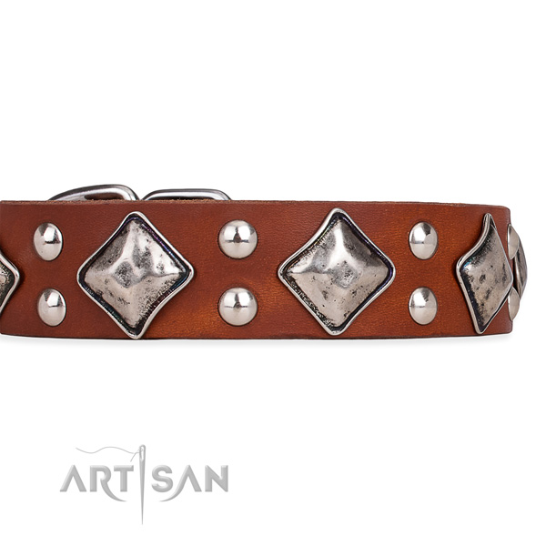 Genuine leather dog collar with remarkable corrosion proof embellishments