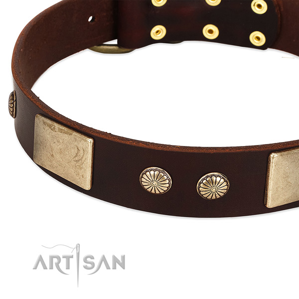 Corrosion proof D-ring on leather dog collar for your pet