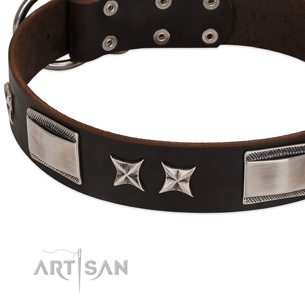 High quality full grain natural leather dog collar with reliable buckle