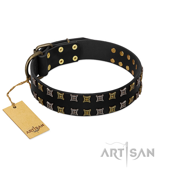Top rate full grain genuine leather dog collar with embellishments for your doggie