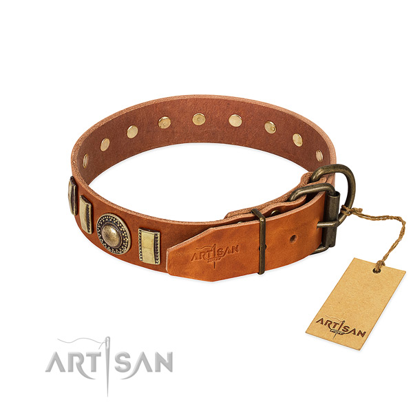 Decorated leather dog collar with corrosion proof fittings