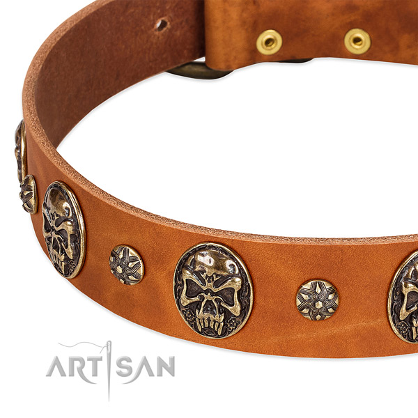 Rust-proof embellishments on full grain leather dog collar for your canine