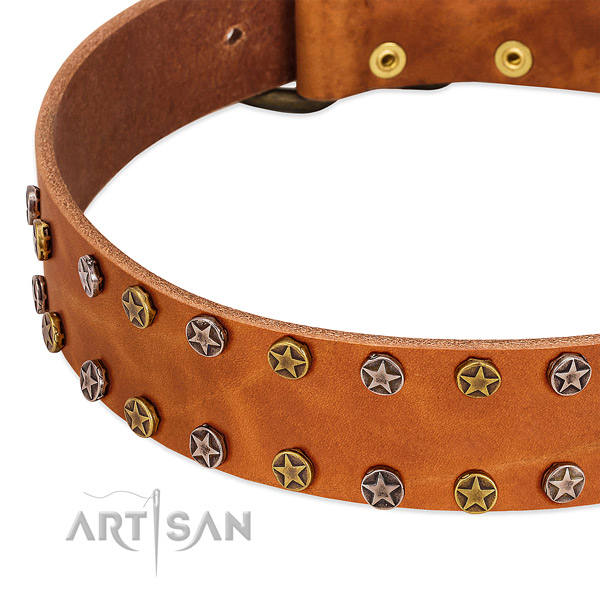 Stylish walking genuine leather dog collar with trendy adornments