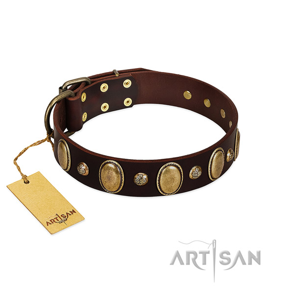 Full grain genuine leather dog collar of soft material with incredible embellishments