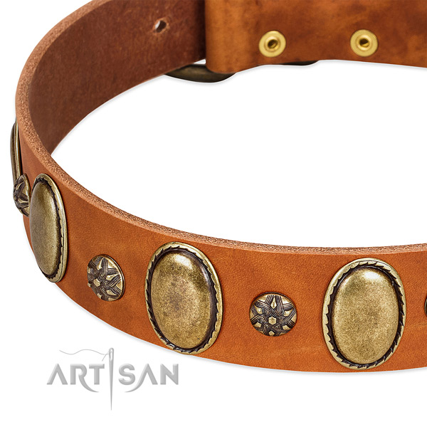 Stylish walking soft to touch genuine leather dog collar