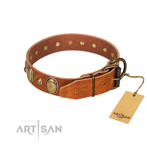 Unique full grain leather dog collar with strong buckle
