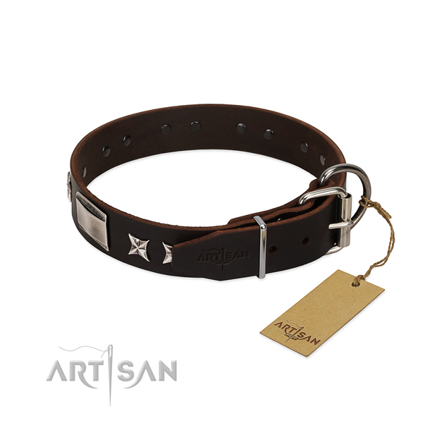 Fashionable collar of leather for your handsome four-legged friend
