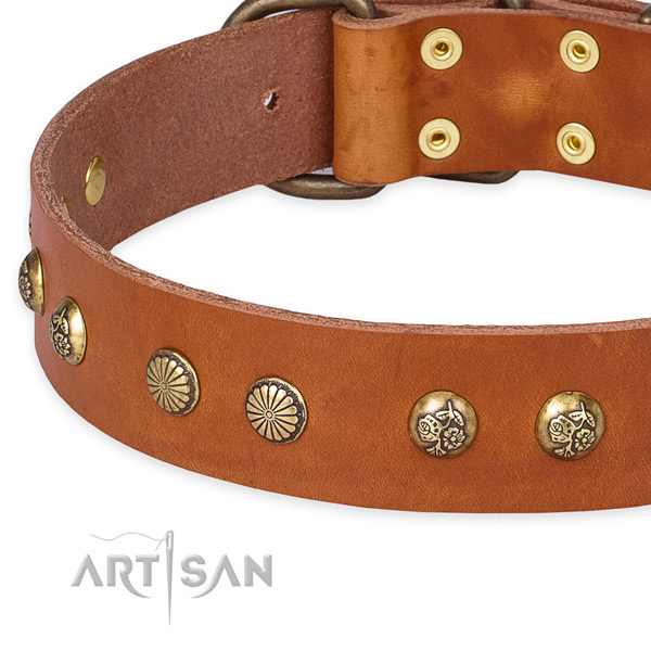 Full grain natural leather collar with reliable buckle for your stylish pet