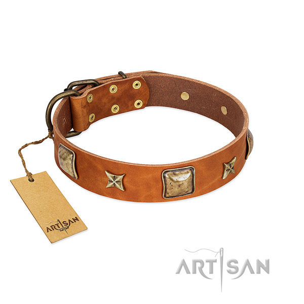 Easy wearing full grain leather collar for your canine
