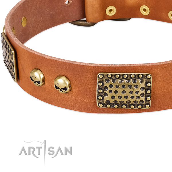 Rust resistant hardware on full grain leather dog collar for your dog