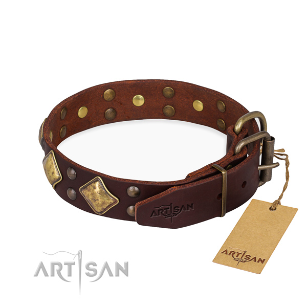 Full grain natural leather dog collar with stylish corrosion proof adornments
