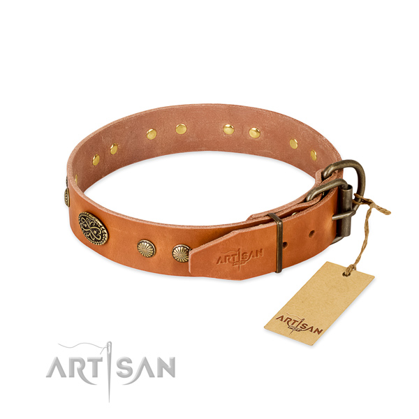 Durable studs on full grain natural leather dog collar for your dog