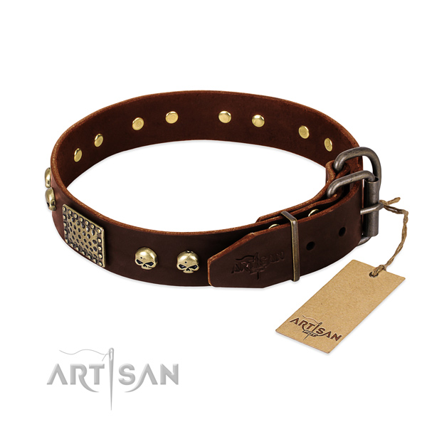 Strong hardware on stylish walking dog collar