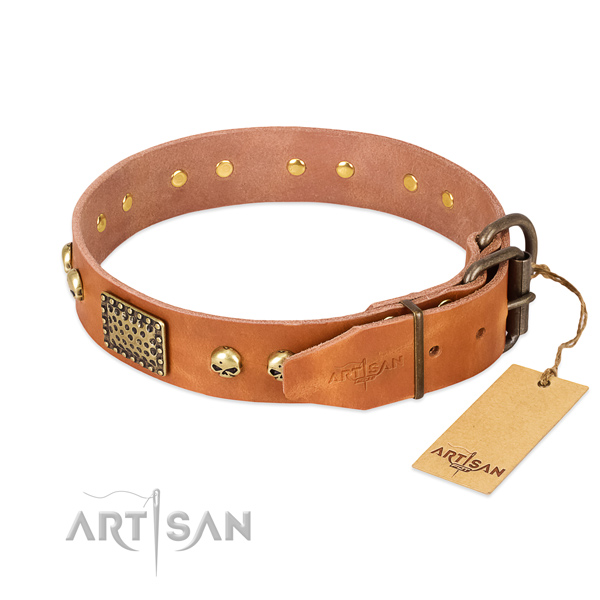 Rust resistant embellishments on daily walking dog collar
