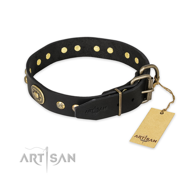 Reliable traditional buckle on leather collar for basic training your four-legged friend