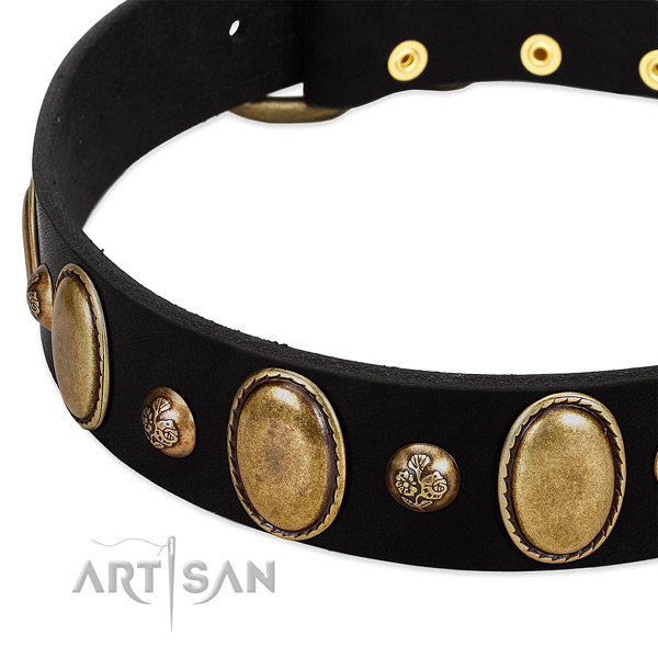 Full grain leather dog collar with impressive adornments