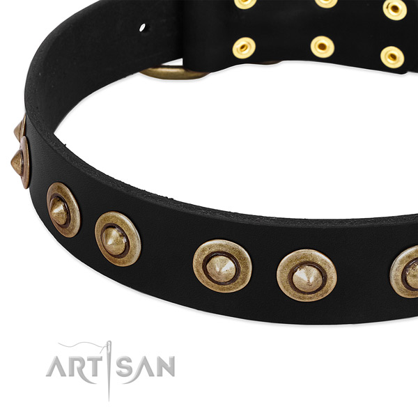 Reliable studs on full grain leather dog collar for your canine