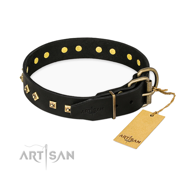 Rust-proof traditional buckle on leather collar for walking your canine